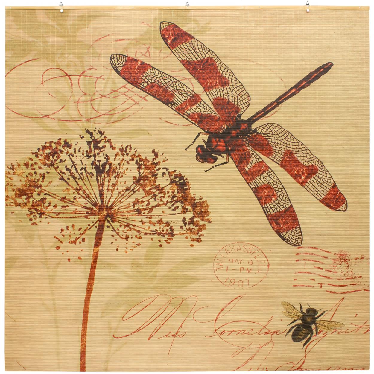 Dragonfly shades hotsell