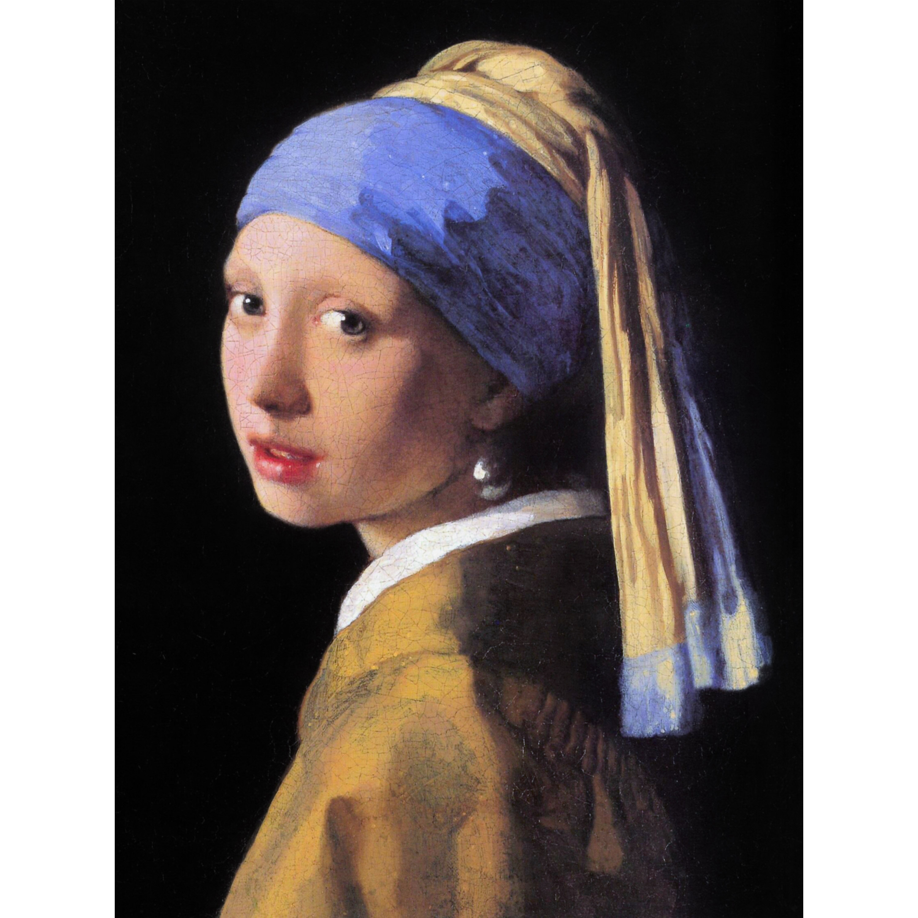 Thesis statements for girl with a pearl earring 06 picture