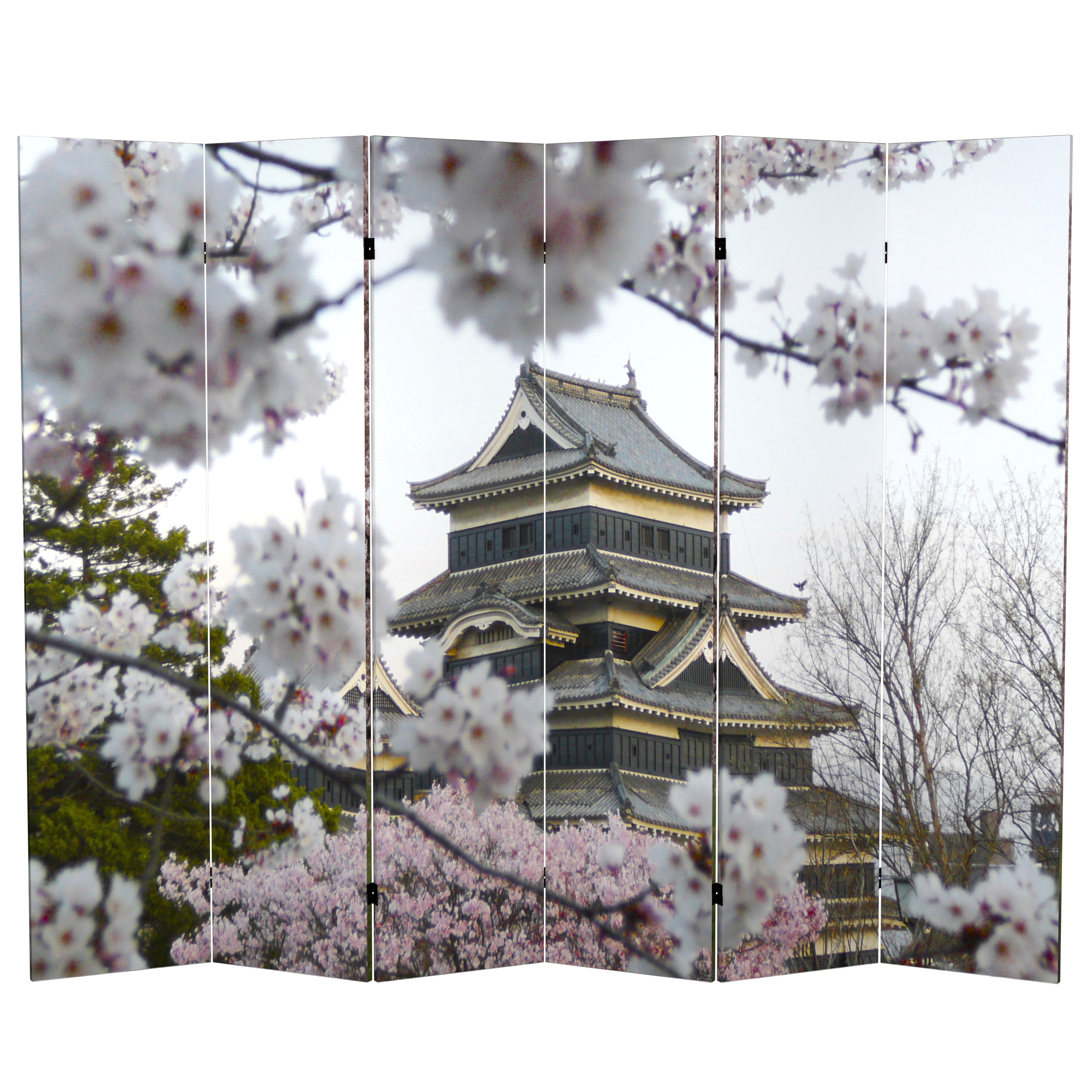 Details About 6 Ft Tall Double Sided Cherry Blossoms Canvas Room Divider Panel Details About 6 Ft Tall Double Sided Cherry Blossoms Canvas Room Divider Panel